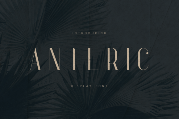 Anteric: A Serif Font for Polished Branding