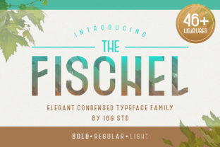 Fischel Family: A Versatile Sans Serif Typeface for Modern Campaigns