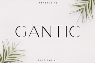 Gantic: A Refined Sans Serif Font for Editorial Design