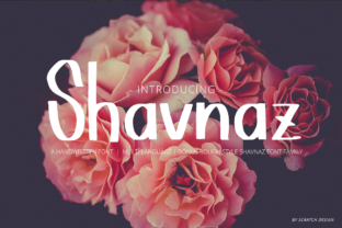 Shavnaz: A Versatile Sans Serif Typeface for Modern Branding