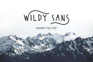 Wildy Sans: A Modern Typeface for Small Business Branding