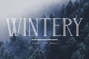 Wintery Family: A Designer’s Honest Review